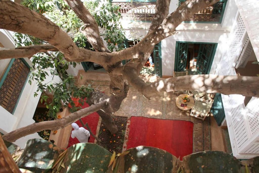 Riad Dar Zitouna Marrakesh - Entire House In Exclusivity エクステリア 写真